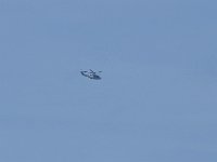 IMGP2106  -->  Retour au bercail