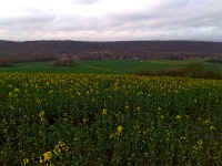 IMG 20140403 104725