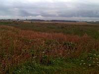 IMG 20140807 101218