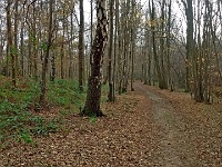 IMG 20151203 131022