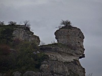 Photo Daniel Tête d'Homme