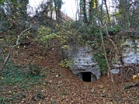 Photo Daniel