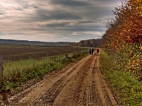 IMG 20151105 111856