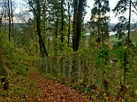 IMG 20151105 125117