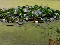 IMG 20150809 153719