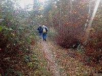 IMG 20151112 141213