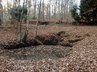 IMG 20151112 151548