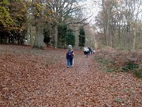 IMG 20151112 151602