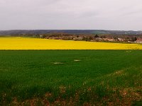 IMG 20150416 133526