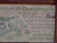 IMG 20150820 151145