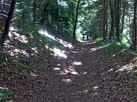 On a perdu la moitié de la troupe en début d'après-midi. Nous partîmes à six, seulement trois à l'arrivée.