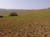 IMG 20150423 110718