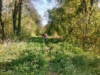 IMG 20150423 171151