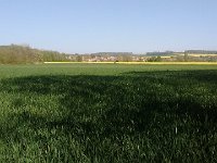 IMG 20150423 172910