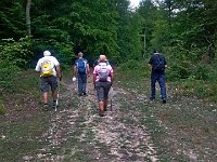IMG 20150723 113757