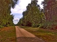 IMG 20150723 123122