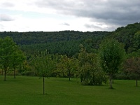 IMGP3548