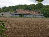 IMGP3554