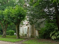 IMGP3557