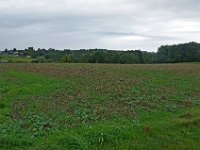 IMGP3573