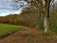 IMG 20151126 140952