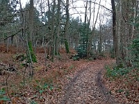 IMG 20151126 142740