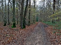 IMG 20151126 145704