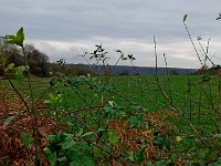 IMG 20151126 153113