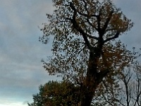 IMG 20151126 163715
