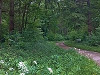 IMG 20150528 105019