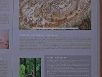 IMG 20150528 113931