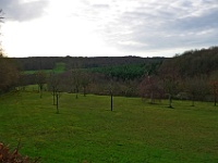 IMGP3979