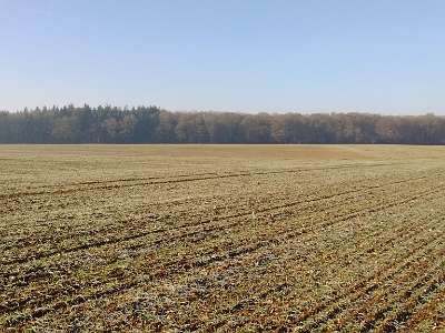 IMG 20161201 105615405  -->