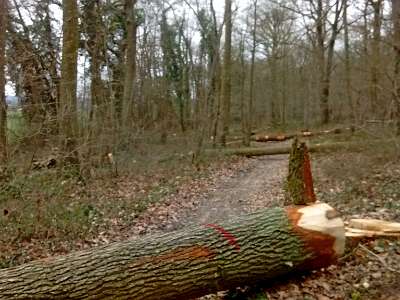 IMG 20160310 134751628  -->  Que serait une rando sans quelques obstacles