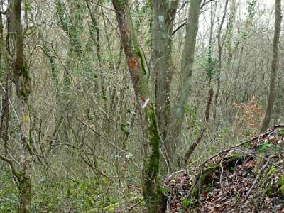 P1030987  -->  Photo Stan Chemins de croix