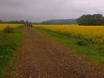 IMG 20160512 135429208  -->  Bientôt la montée vers La Boissière