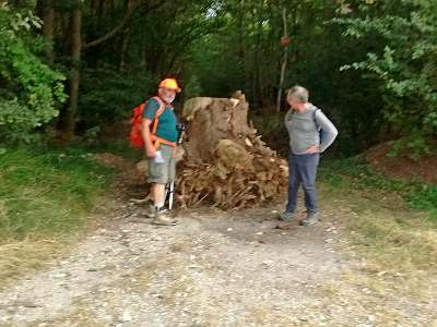 IMG 20160721 100627093  -->  Que pourrions bien en faire ?