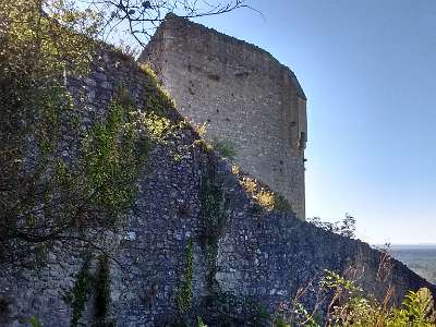 IMG 20160825 103233240 HDR  -->  Sur les hauteurs du château de la Roche Guyon