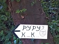 IMG 20170608 171704960  -->