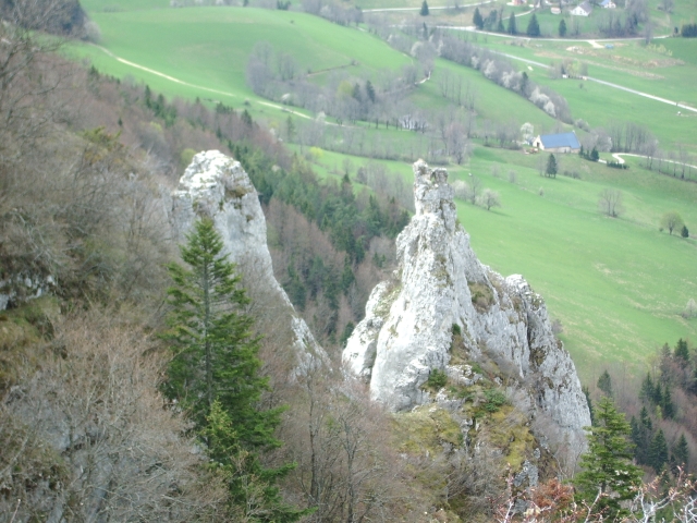 IMGP0492 
