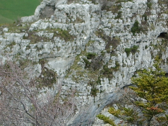 IMGP0493 