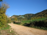 ccdio_0869 