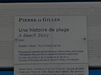 IMGP8124  -->