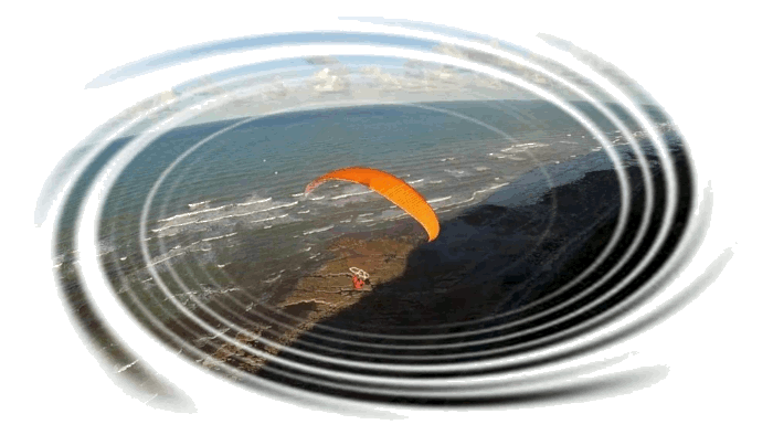 Oh, j'ai vu un Mimi ! Darlinette à Commes